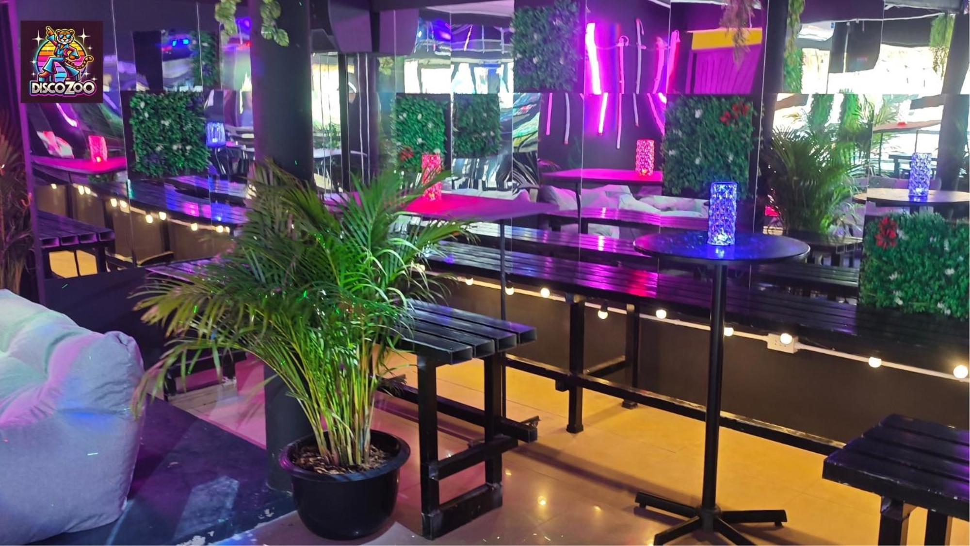 Disco Zoo Bar & Hostel ハード・リン エクステリア 写真
